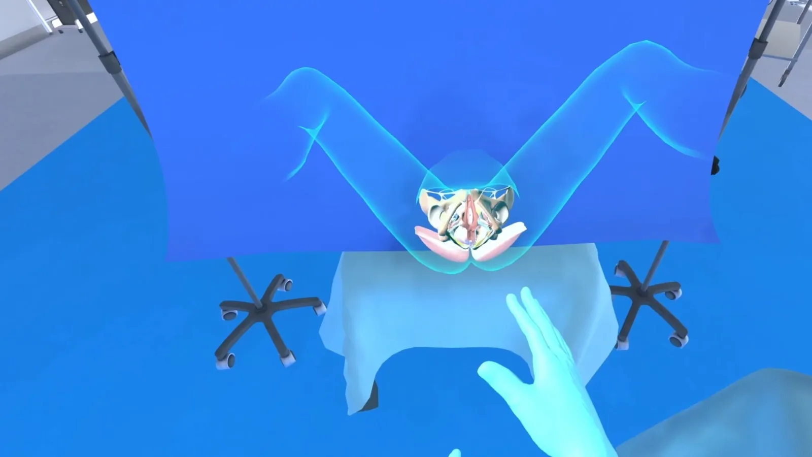 Le champ opératoire en réalité virtuelle, vu par l'apprenant : le bassin modélisé à découvert, la main au premier plan