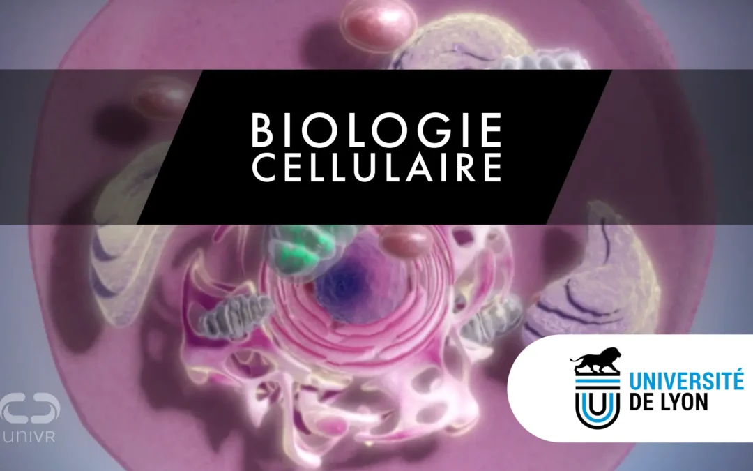 Réinventer l’apprentissage de la biologie cellulaire avec la réalité virtuelle – Université de Lyon