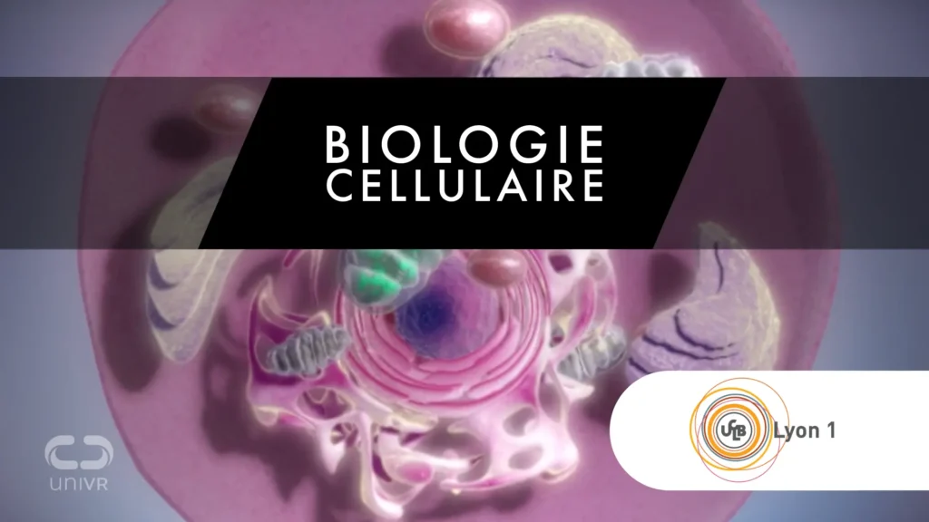 réalité virtuelle pour les universités - Outil enseignement de la biologie cellulaire 3D