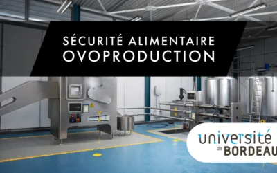Contrôle qualité agroalimentaire : comment l’Université de Bordeaux innove avec la réalité virtuelle