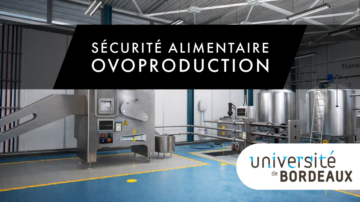formation sécurité alimentaire ovoproduction 2 formation sécurité alimentaire ovoproduction 2